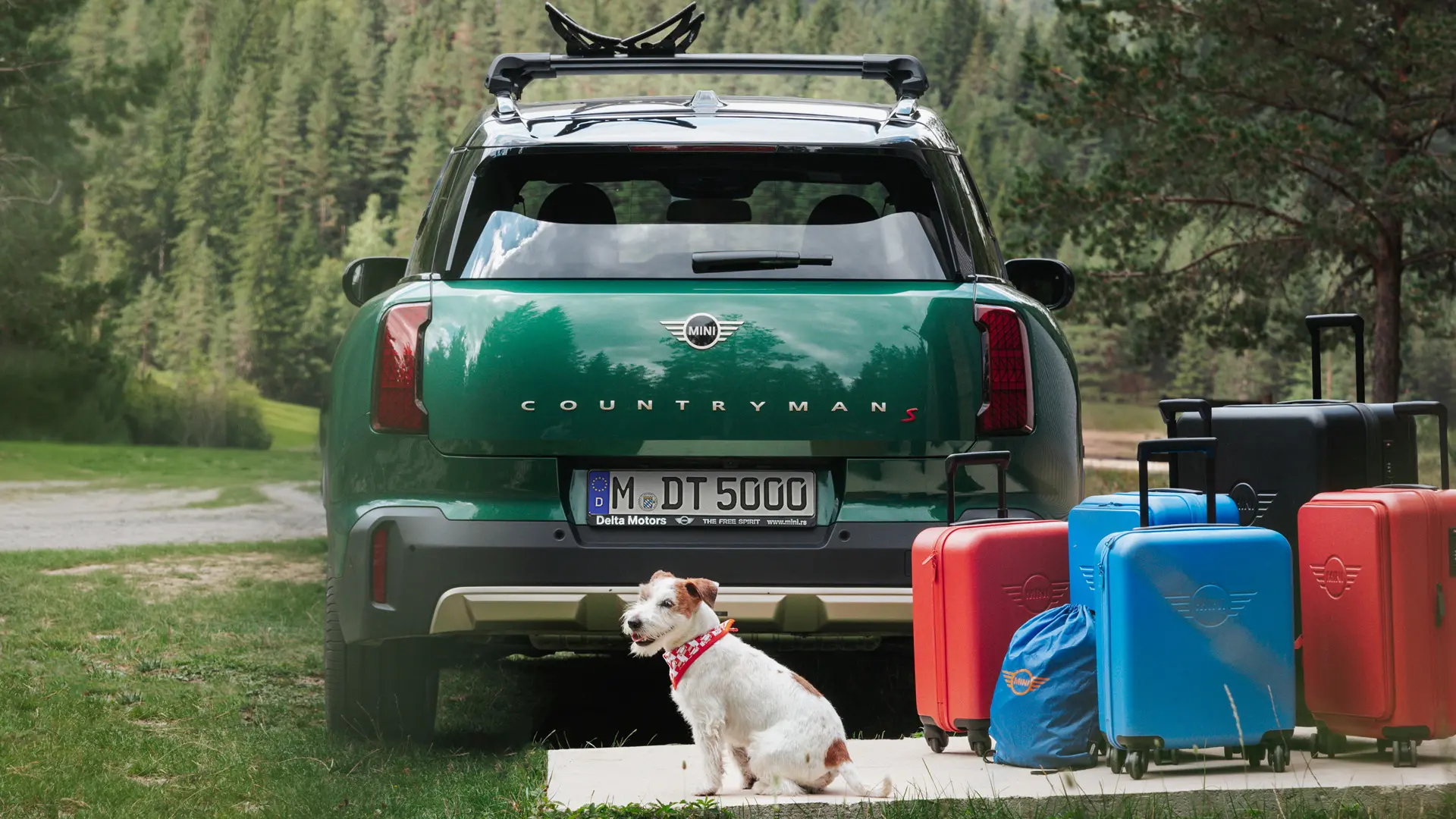 Arkasında MINI Lifestyle mağazasında sunulan çeşitli bagaj eşyalarının yanında Jack Russell cinsi bir köpek bulunan yeşil renkte MINI Countryman. 