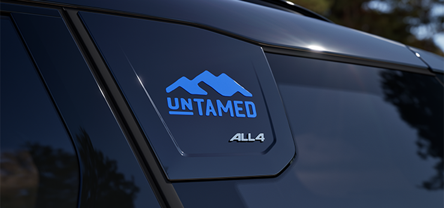 MINI Countryman Untamed Edition'ın C sütunu görüntüsü.