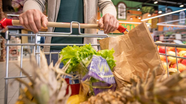 Şehirde Doğanın İzleri | MINI Türkiye
