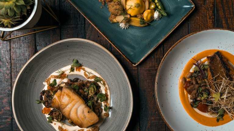 Şehirde Doğanın İzleri | MINI Türkiye